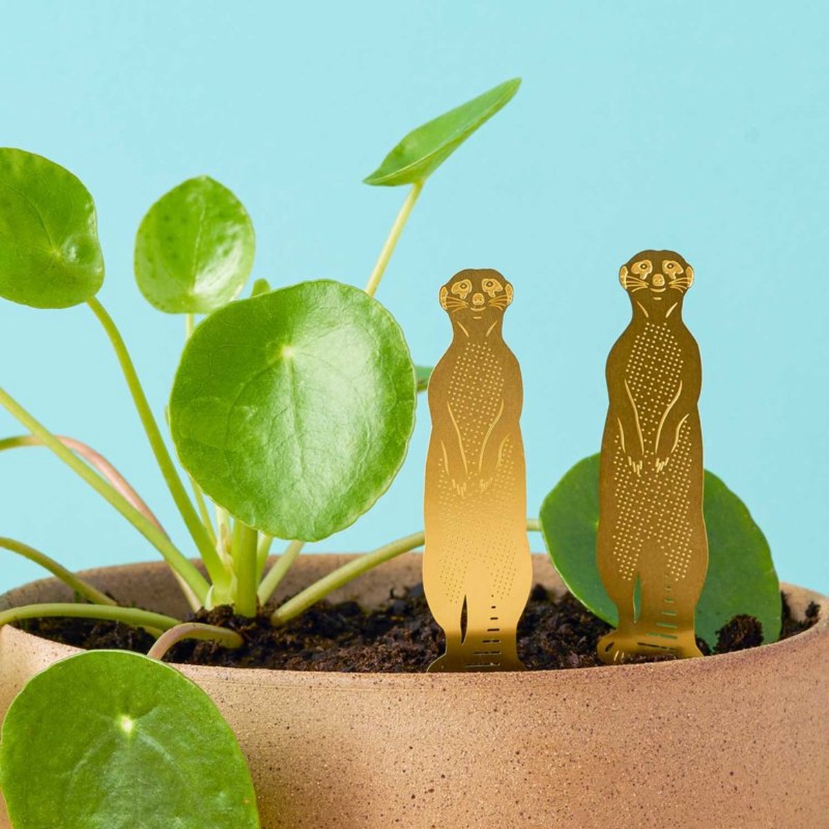 Plant Animals - Meerkat - Playful Creates For Your Plants! | bol.com