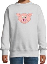 Cartoon varken trui grijs voor jongens en meisjes - Kinderkleding / dieren sweaters kinderen 110/116