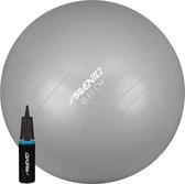 Avento Fitness/Gymbal + Pomp - Ø 65cm - Zilver