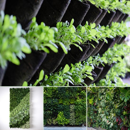 Drie verticale tuinen met weelderig groen, waaronder verse planten en varens.
