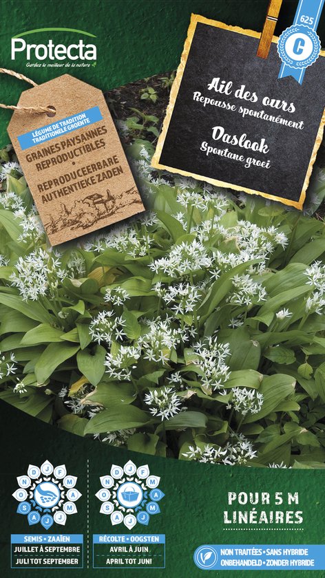 Daslook - Allium ursinum - pro625