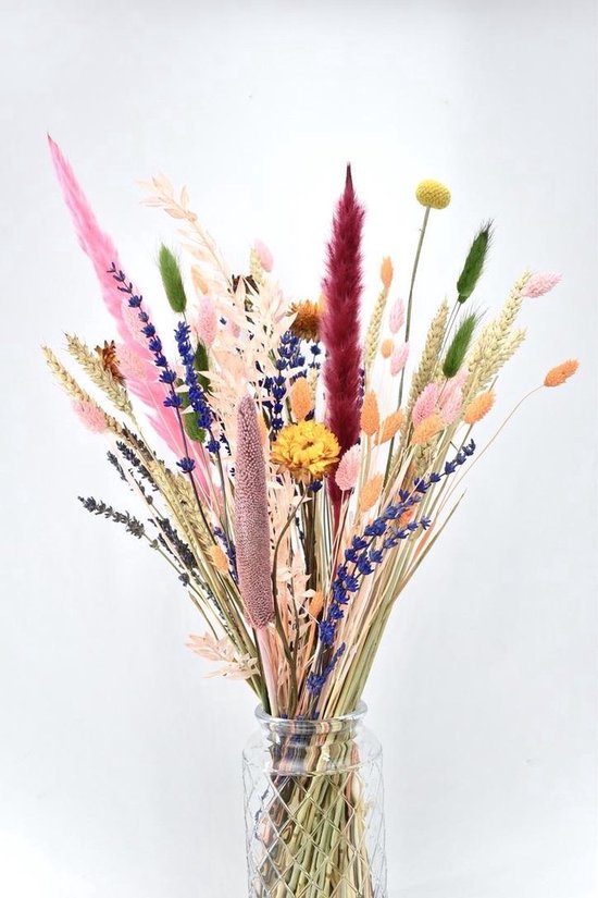 Droogbloemen - boeket 50 cm - Mixed Colors - Natuurlijk Bloemen