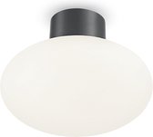 Ideal Lux Clio - Plafondlamp Modern - Grijs  - H:4cm - E27 - Voor Binnen - Aluminium - Plafondlampen - Slaapkamer - Kinderkamer - Woonkamer - Plafonnieres
