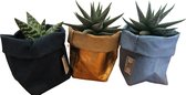 de Zaktus | combi van paper bags met cactus en of vetplant | Maat M