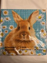 servetten pasen met konijn 20 stuks 33 cm x 33 cm
