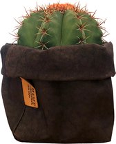 de Zaktus - cactus - Aloë Polyphylla - UASHMAMA® paperbag bruin - Maat XL