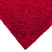 eGrass Deurmat RAINBOW Carmine Red - 44x66cm - rood - 25mm - grasmat - doormat - schoonloopdeurmat - schoonloopmat - inloopmat – voordeur – door – deurtapijt - droogloopmat - tuin - balkon - terrasgrasmat - entreemat