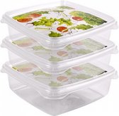 vershoudbakjes Anna 800 ml 15,8 cm transparant 3 stuks