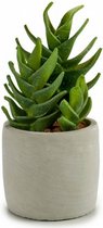 kunstplant Echeveria 10,5 x 21 cm keramiek groen