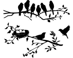 Raam - Muur sticker Decoratief Vogels op tak met nest - Lente - Overkapping - Veranda - Dieren