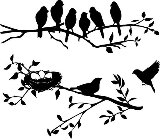 Raam - Muur sticker Decoratief Vogels op tak met nest - Lente - Overkapping - Veranda - Dieren