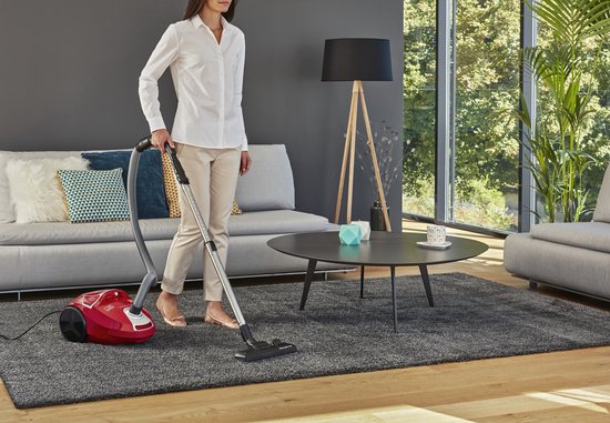 Rowenta Compact Power RO3953 - Stofzuiger met zak