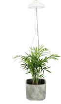 Esschert - Planten groeilamp wit - in hoogte verstelbaar