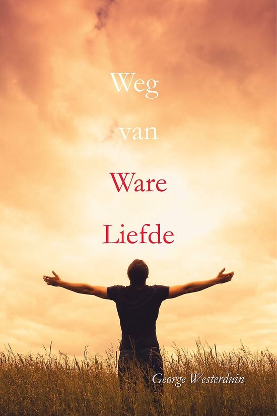 Boekomslag 'Weg van Ware Liefde' met een man die met open armen staat in een veld met hoog gras tegen een zonsondergang.