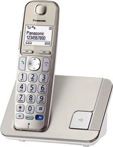 Panasonic KX-TGE210NLN DECT Telefoon Grijs/Wit