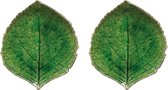 Costa Nova Riviera Hydrangea Hortensia blad bordjes 17 cm set van 2