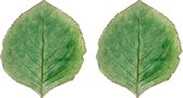 Costa Nova Riviera Hydrangea Hortensia blad bord 22 cm groen set van 2