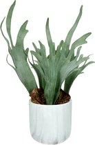 Hertshoorn - Pomax - hertshoornvaren- kunstplant- kunststof / cement - ø 12 x 40 cm hoog - groen