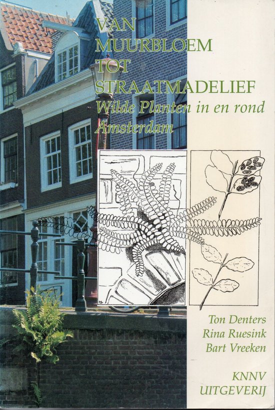 9789050110655 - Van muurbloem tot straatmadelief - Denters