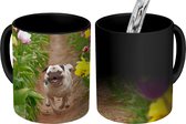 Magische Mok - Foto op Warmte Mok - Bloemen - Tulpen - Hond - 350 ML - Uitdeelcadeautjes