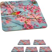 Onderzetters voor glazen - Vogel - Sakura - Kleuren - 10x10 cm - Glasonderzetters - 6 stuks