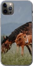 Geschikt voor iPhone 12 Pro Max hoesje - Paarden - Veulen - Natuur - Siliconen Telefoonhoesje