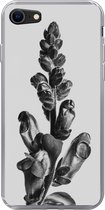 Geschikt voor iPhone SE 2020 hoesje - Plant - Zwart - Wit - Abstract - Siliconen Telefoonhoesje