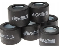 Variorollenset Polini 19x15.5 - 8.1 gram