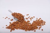 Katjang Pedis | Pinda's | Zoutjes | Borrelnoten | 1 KG