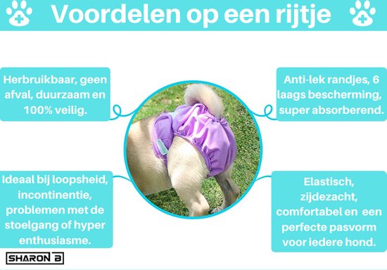 Paars hondenbroekje met opdruk, ideaal bij loopsheid en incontinentie. Super absorberend.