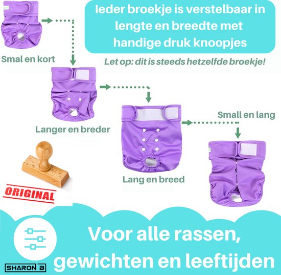 Illustratie van hoe het paarse hondenbroekje verstelbaar is in lengte en breedte met drukknopjes.