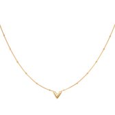 Ketting - V - Van - Vienna - stainless steel - goud