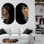Muurovaal duo lion M - 2x  90 x 55 cm