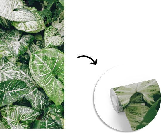 Papier Peint - Papiers Papier peint photo Feuilles - Nature - Végétal - Largeur 120 cm x Hauteur 240 cm