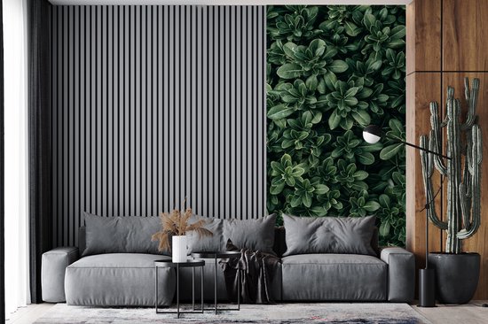 Papier Peint - Papiers Papier peint photo Feuilles - Plantes - Nature - Largeur 120 cm x Hauteur 240 cm