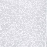 Raved Raamfolie/Plakfolie - Decoratiefolie - Lijnen Print Zilver - 2 m x 45 cm