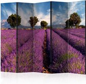 Walljar - Vouwscherm - Lavender field in Provence, France II [Room Dividers]