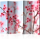 Vouwscherm - Symbol of Japan - sakura flowers II [Room Dividers]