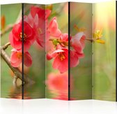 Vouwscherm - Azalea reflected in the water II [Room Dividers]