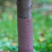 Ferrarium Boomhoes Beschermer tegen Insecten - boom bescherming tegen insecten - anti insecten in fruitboom - Anti Insect - Plantenhoes - Boom - Boom - Boombeschermer - Stambescher
