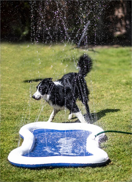 Watermat speciaal voor honden – QUAPAS! the original - Extra dikke waterspeelmat met fontein voor kinderen en honden - Hondendouche – Honden fontein – Waterspeelgoed - Hondenspeelgoed