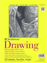 Strathmore 300 series - Drawing Paper Pad - 114g/m2 - 50 vellen - 22.9x30.5cm