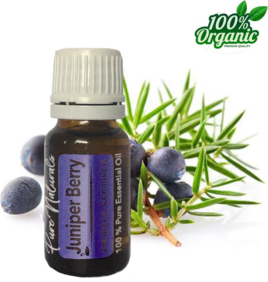 Goedkoopste Jeneverbes etherische Olie 10 ml | Juniper Berry Oil | 100 PUUR | Bio | Essentiële olie Aromatherapie | Olie diffuser | Pure Naturals