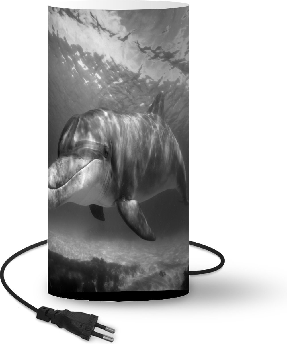 Lampe - Veilleuse - Lampe de table chambre - Photo sous-marine d'un dauphin  - noir et... | bol.com