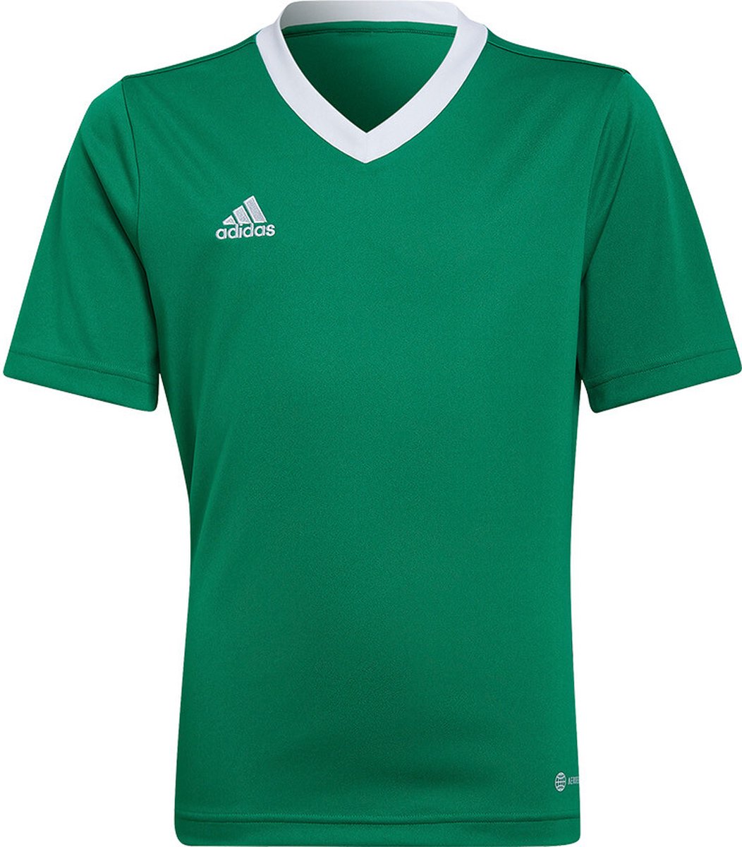 adidas - Entrada 22 Jersey Youth - Groene Voetbalshirt -164