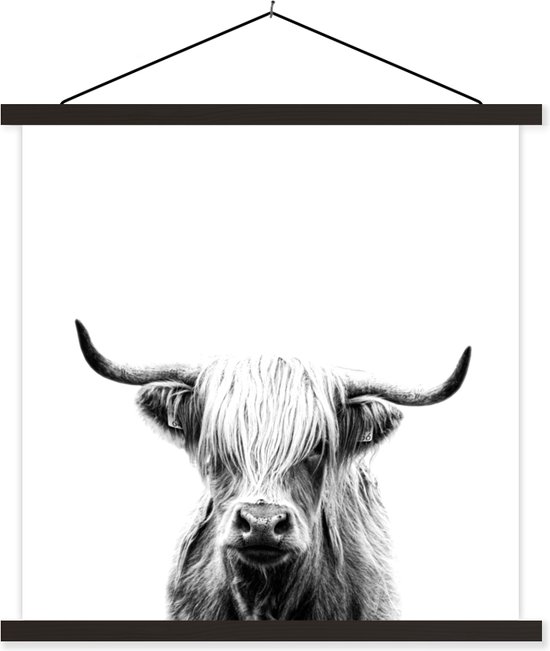 Porte-affiche avec affiche - Affiche scolaire - Highlander écossais - Corne - Zwart - Wit - 40x40 cm - Lattes noires