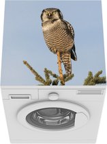 Wasmachine beschermer mat - Sperweruil op de top van een dennenboom - Breedte 60 cm x hoogte 60 cm