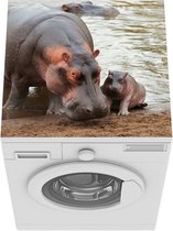 Wasmachine beschermer mat - Dieren - Nijlpaarden - Baby - Breedte 60 cm x hoogte 60 cm