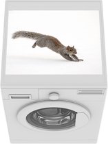Wasmachine beschermer mat - Eekhoorn - Wild dier - Sneeuw - Breedte 55 cm x hoogte 45 cm