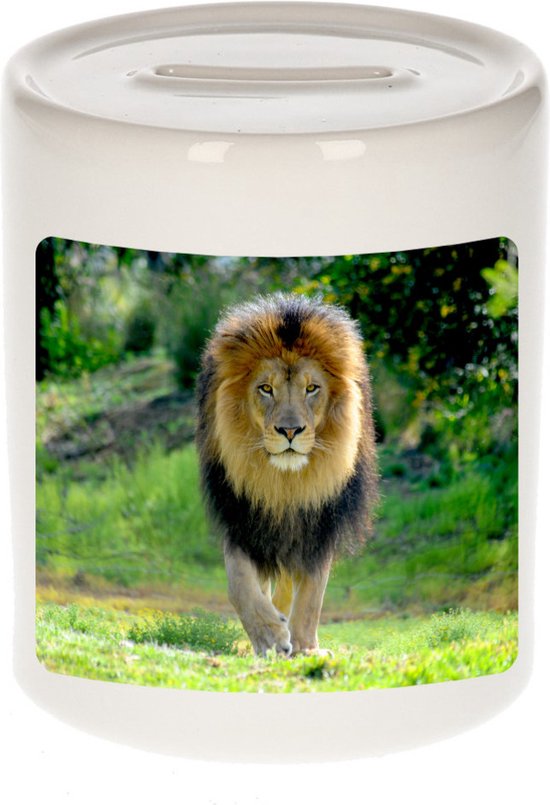 Tirelire photo Animaux lion 9 cm garçons et filles - Tirelires cadeaux Lion Lover
